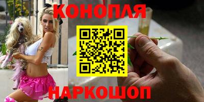 шишки Нальчик