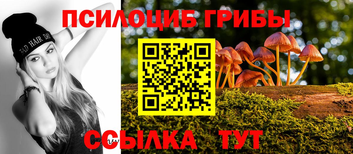 Псилоцибиновые грибы Cubensis Серпухов