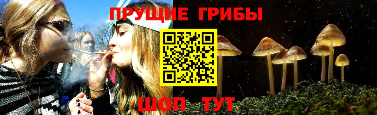 что такое наркотик  Псилоцибиновые грибы GOLDEN TEACHER  Вход с VPN  Серпухов 